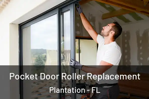 Pocket Door Roller Replacement Plantation - FL